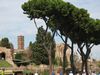Ostseite des Forum Romanum