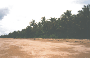 Der Strand von Mission Beach