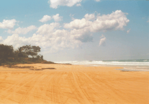 Strand auf Fraser Island